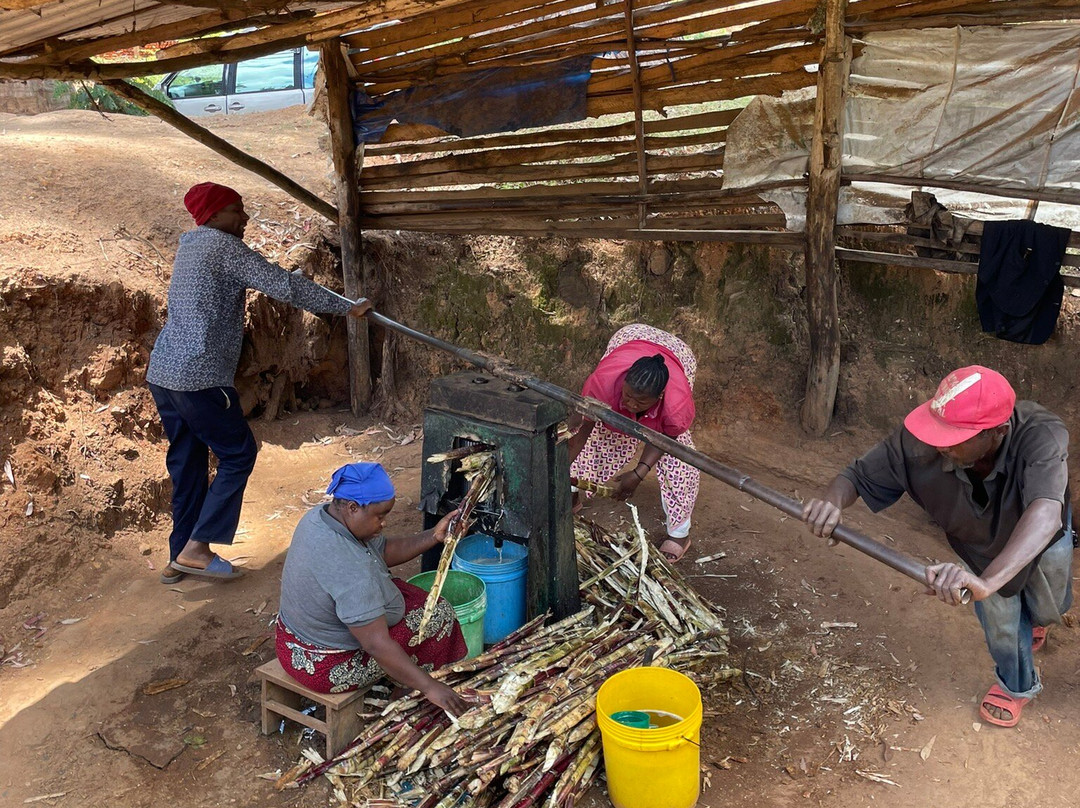 Kwamongo Expeditions-坦噶必去景点