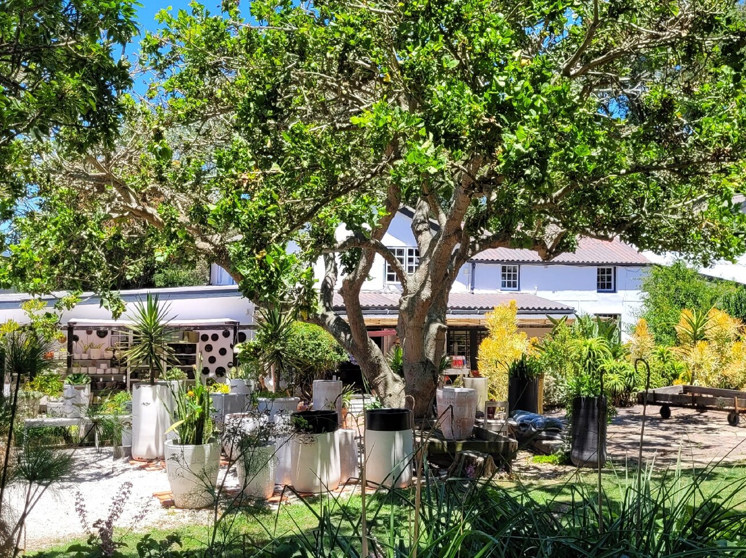 Old Nick Village-普利登堡湾必去景点