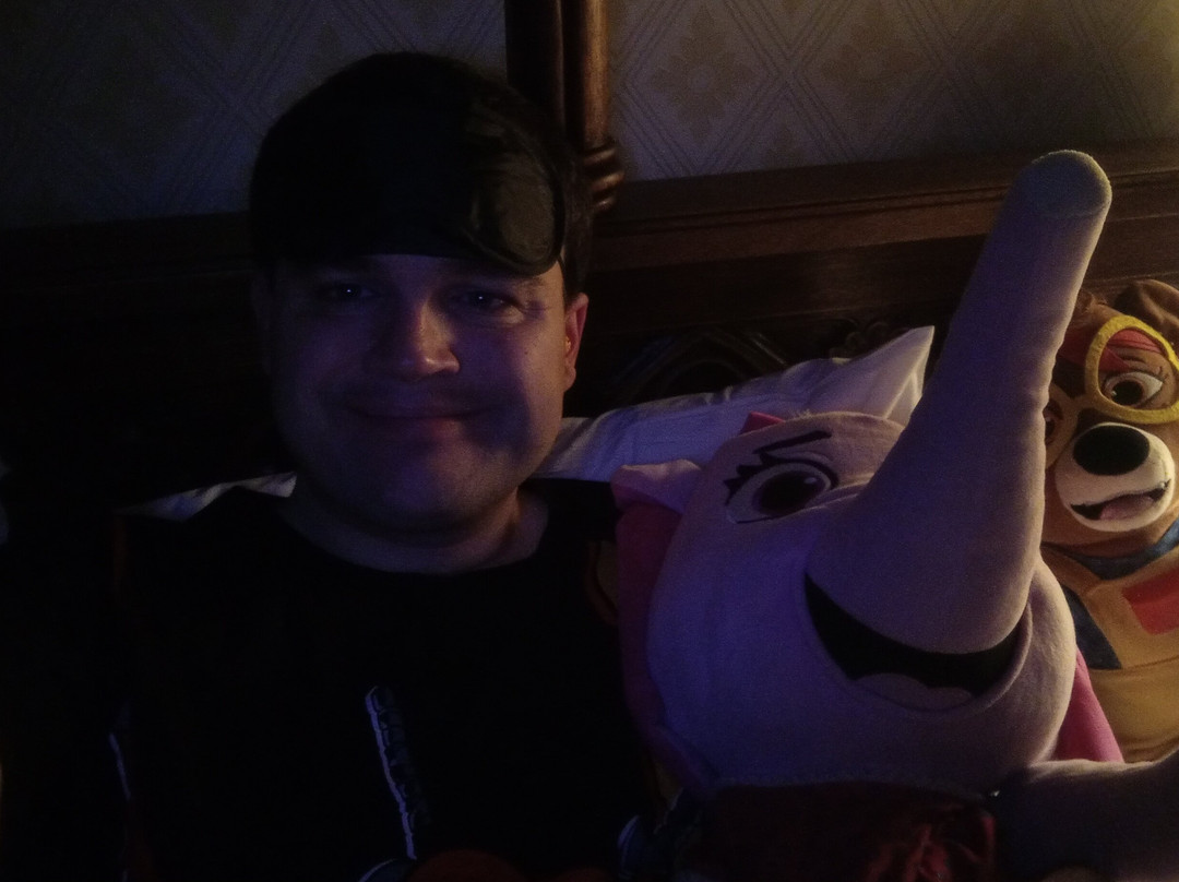 The Old Palace Lodge主图