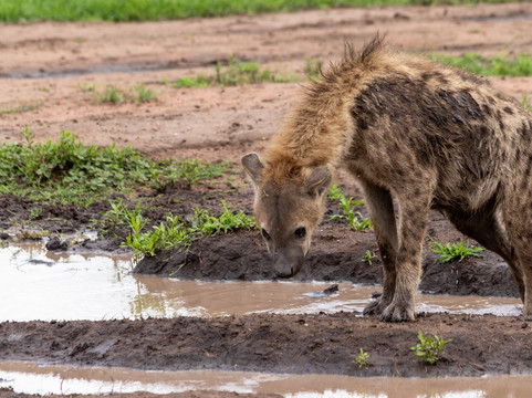 Akshar Tours And Safaris-姆万扎必去景点