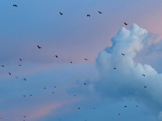 Travass Life-科莫多必去景点