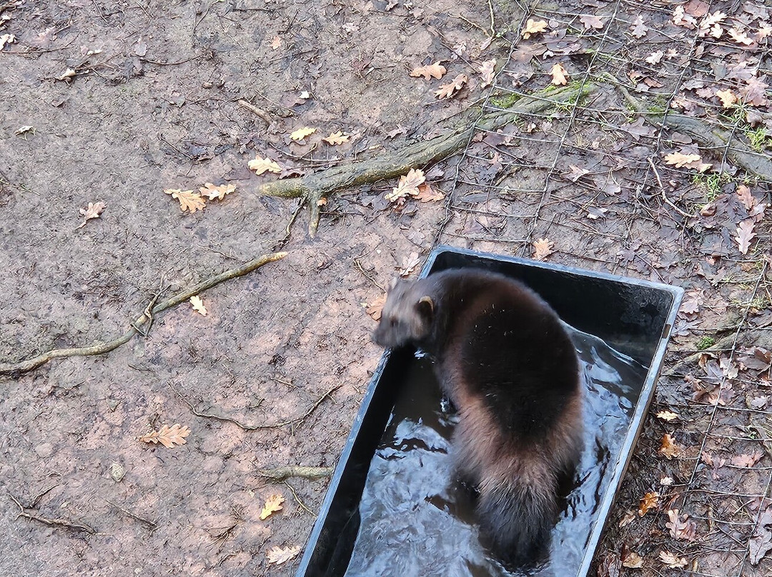 Bristol Zoo Project-Easter Compton必去景点