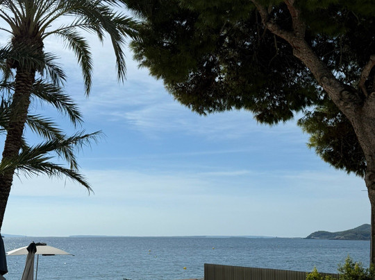 The Ibiza Twiins主图