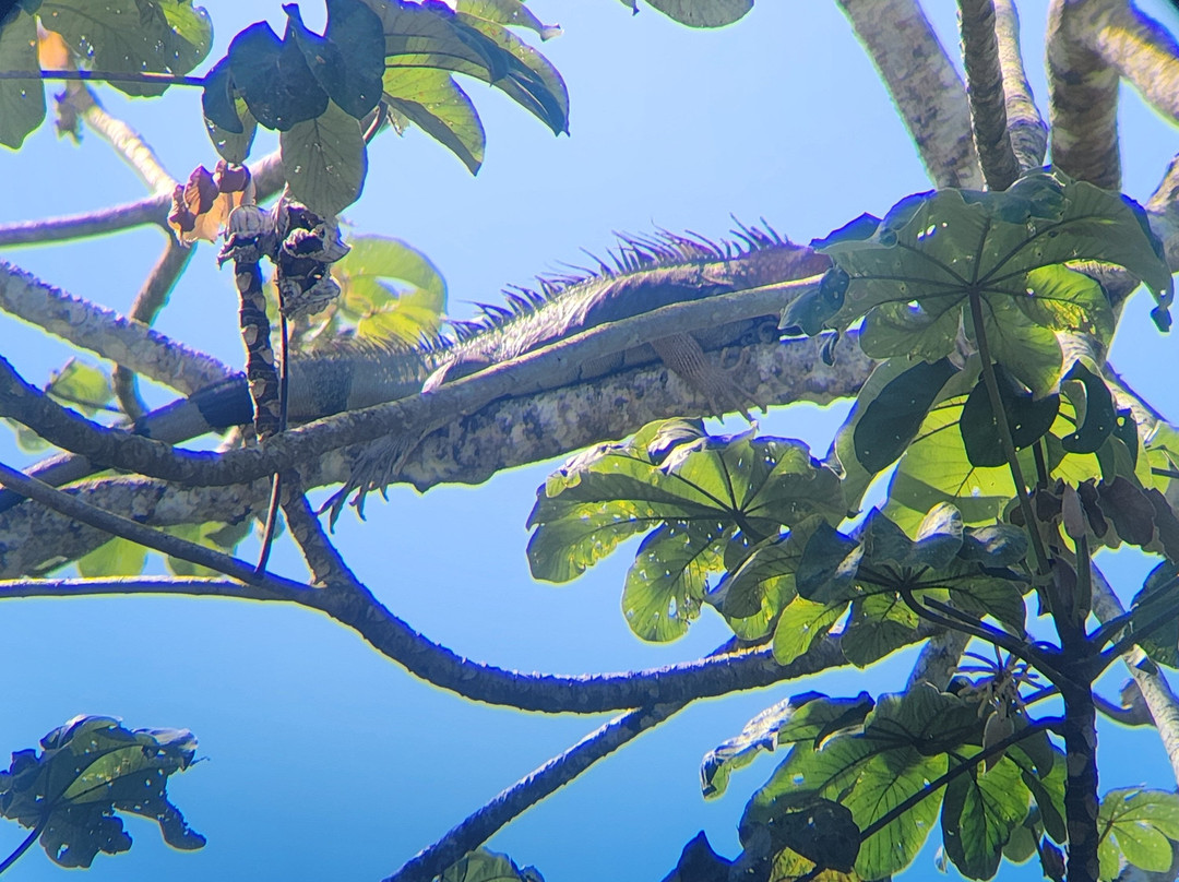 Gio Tours -  Day Tours-彭塔雷纳斯必去景点