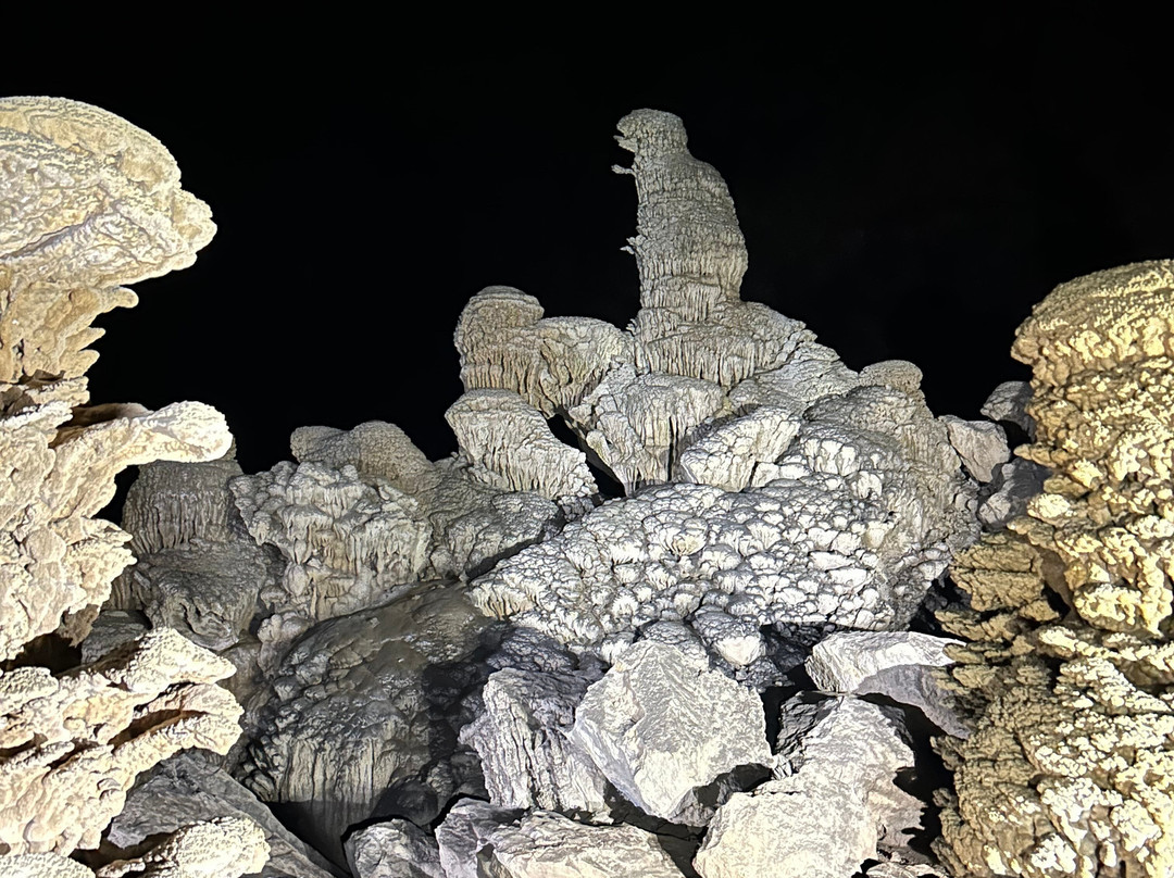 Jungle Boss Tours-峰牙－己榜国家公园必去景点