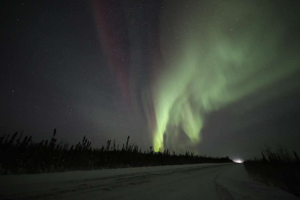 Alaska Safari Sultan Tour-费尔班克斯必去景点