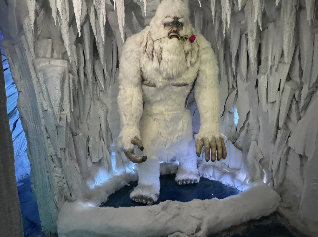 Be Happy Museum Zakopane-扎科帕内必去景点