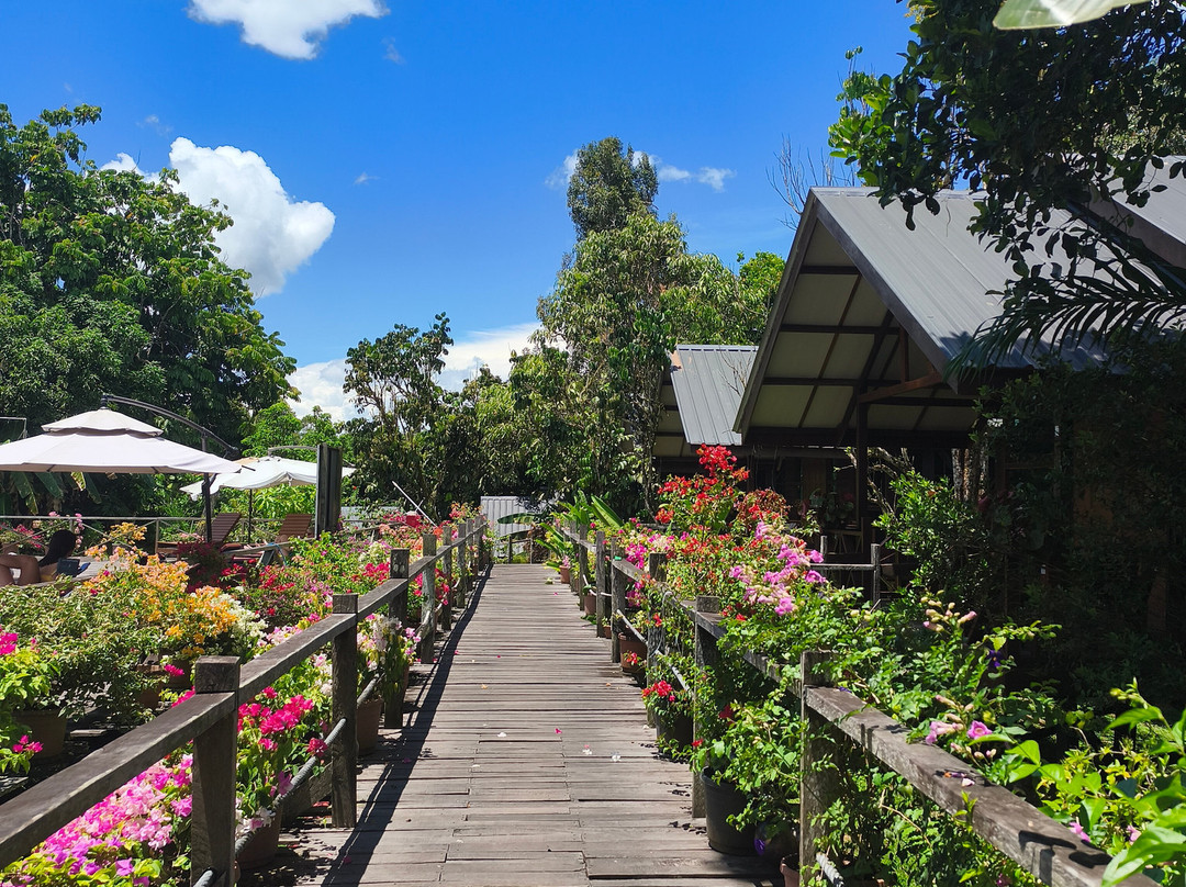 Borneo Sepilok Rainforest Resort主图