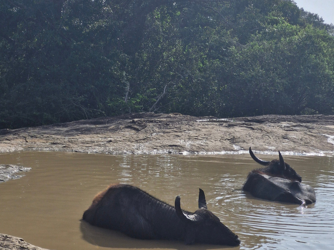 Yala National Park-雅拉国家公园必去景点