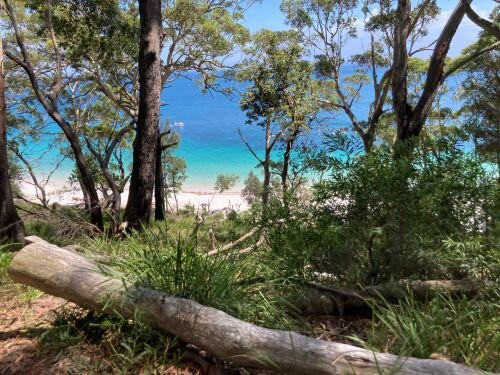 Murrays Beach-杰尔维斯湾必去景点