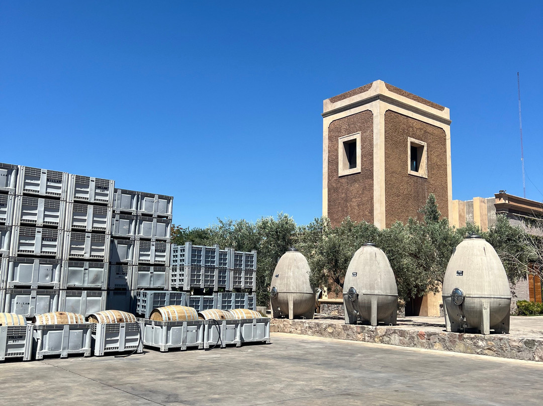 Bodega Los Toneles-门多萨必去景点