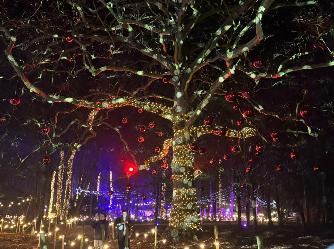 Audley End Miniature Railway-Saffron Walden必去景点