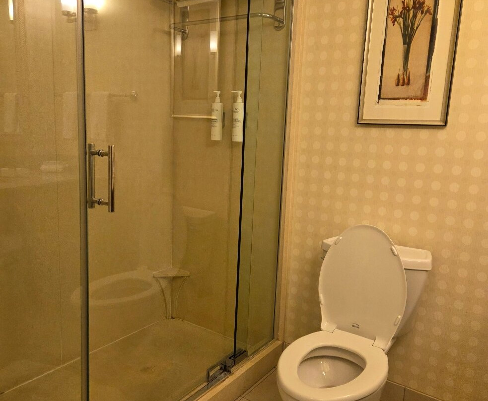 巴特尔斯维尔希尔顿花园旅馆主图