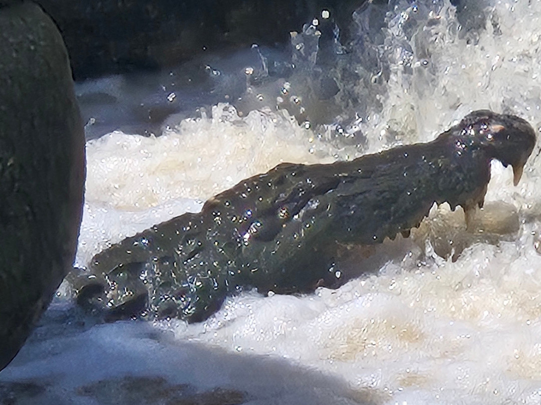 Manu Tours & Travels-亚洪加拉必去景点