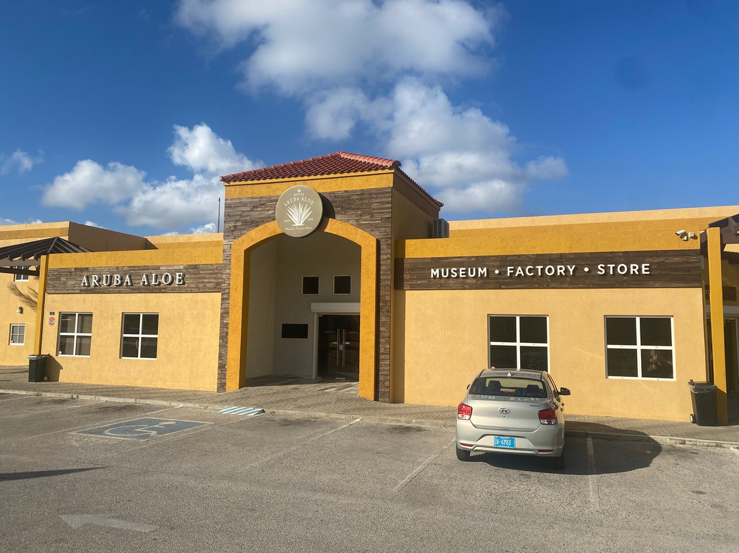 Aruba Aloe Factory, Museum and Store-阿鲁巴岛必去景点