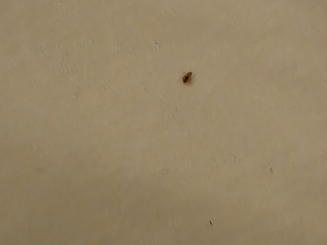 Fairfield by Marriott Inn & Suites Slippery Rock主图