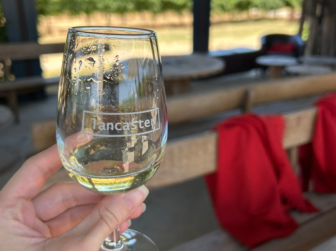 Lancaster Wines-West Swan必去景点