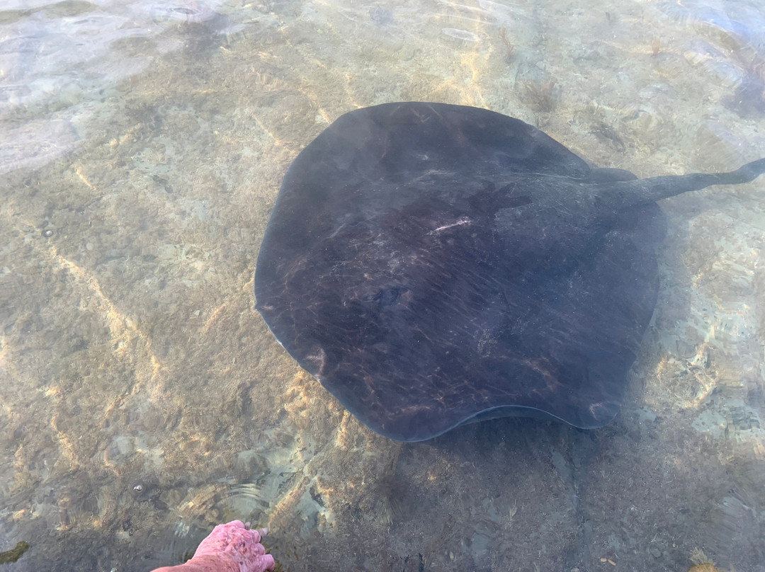 Dive Tatapouri-Gisborne Region必去景点