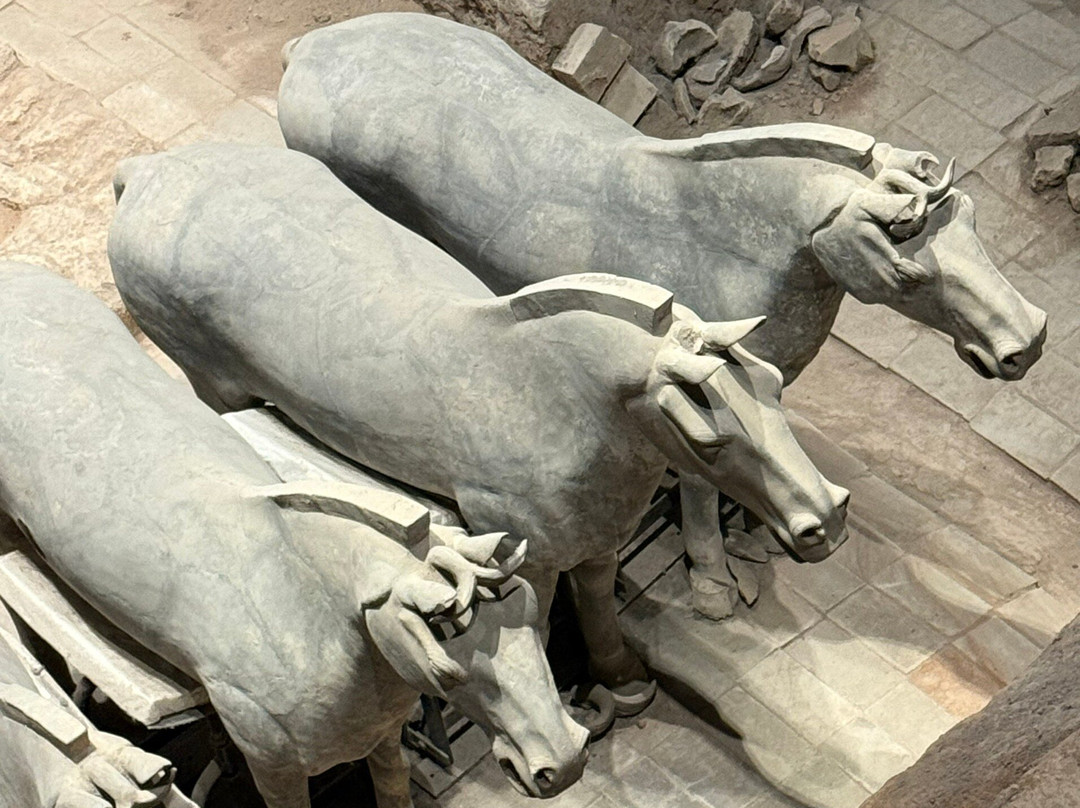 China Highlights-西安市必去景点