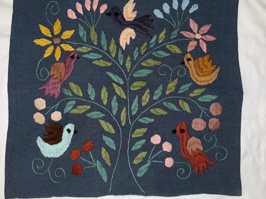 Explorando Chiapas-圣克里斯托瓦尔-德拉斯卡萨斯必去景点