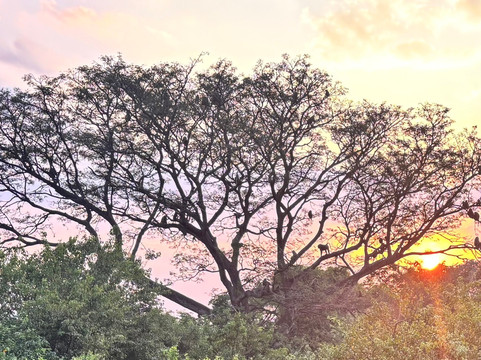 Bigodi Africa Expeditions Ltd-恩德培必去景点