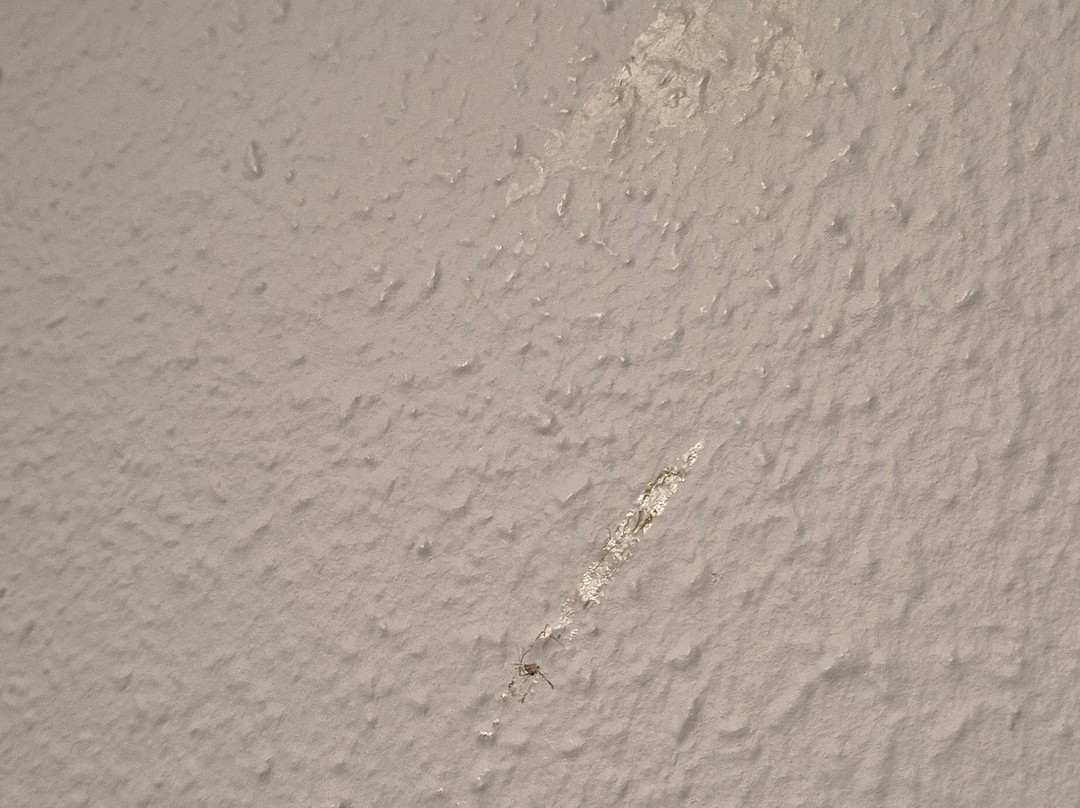 丹普木赫酒店主图