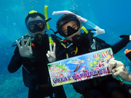 Quicksilver Dive-道格拉斯港必去景点