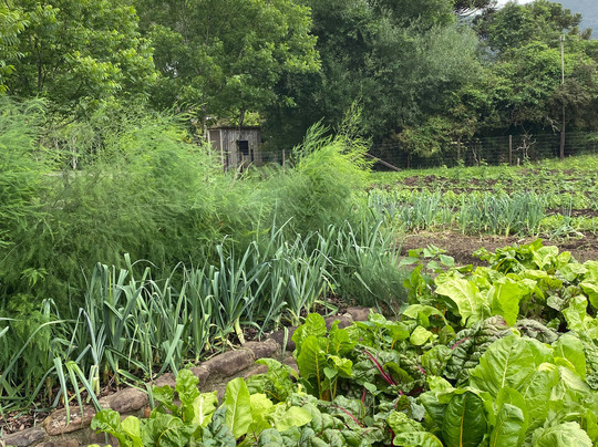 Fruta Fina Orgânicos-Urubici必去景点