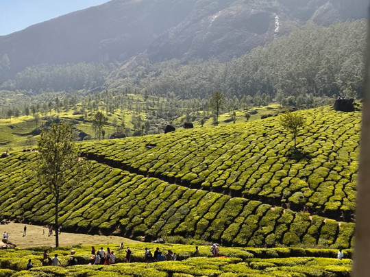 Ghumega India-新德里必去景点