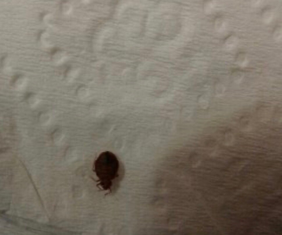 Super 8 by Wyndham Salisbury主图