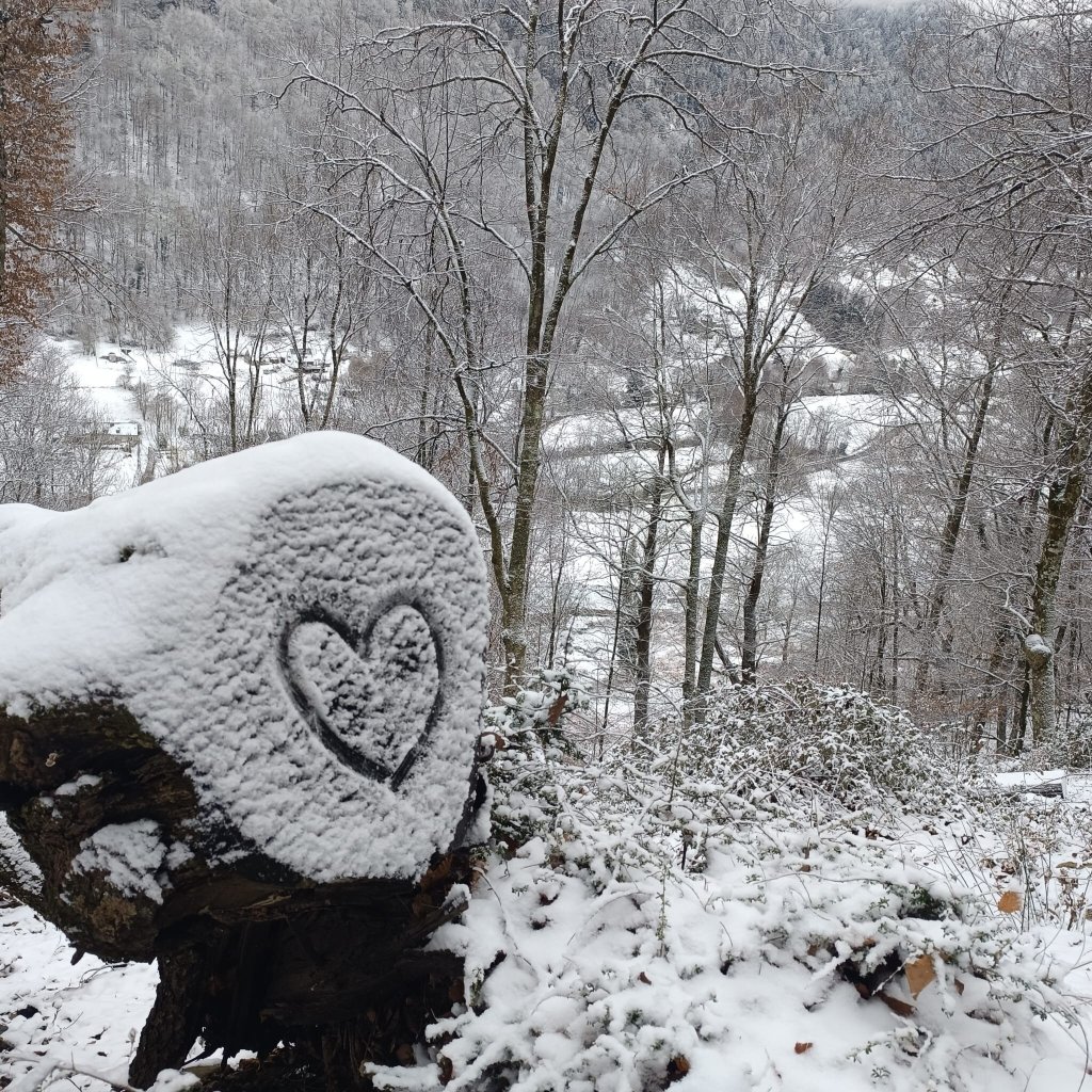 哈曼约地区酒店-官方