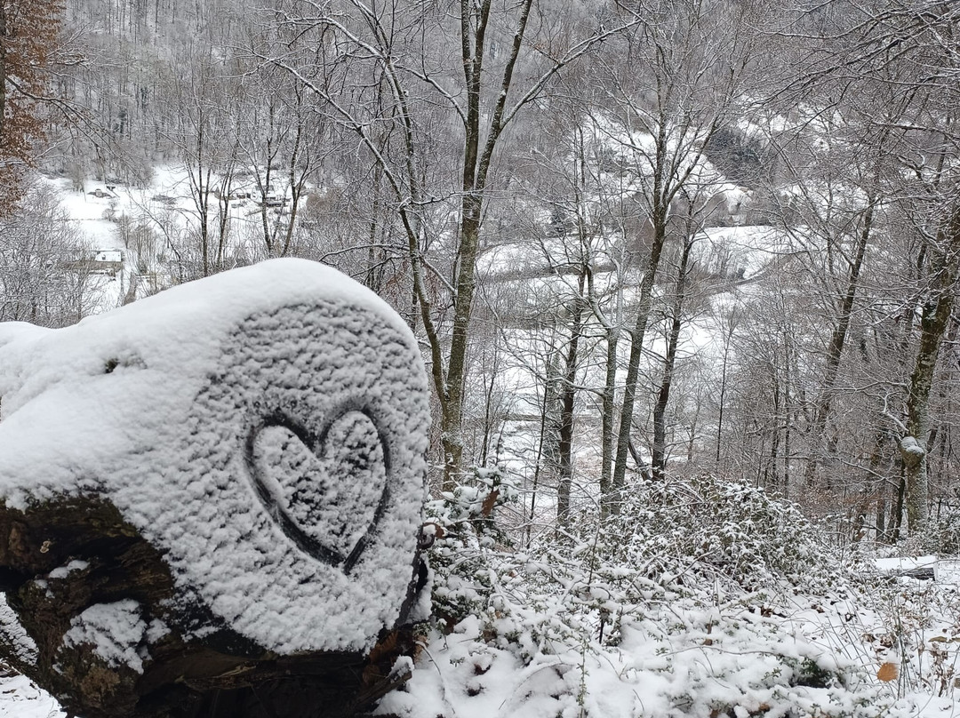 Hautes-Pyrenees酒店住宿-哈曼约地区酒店