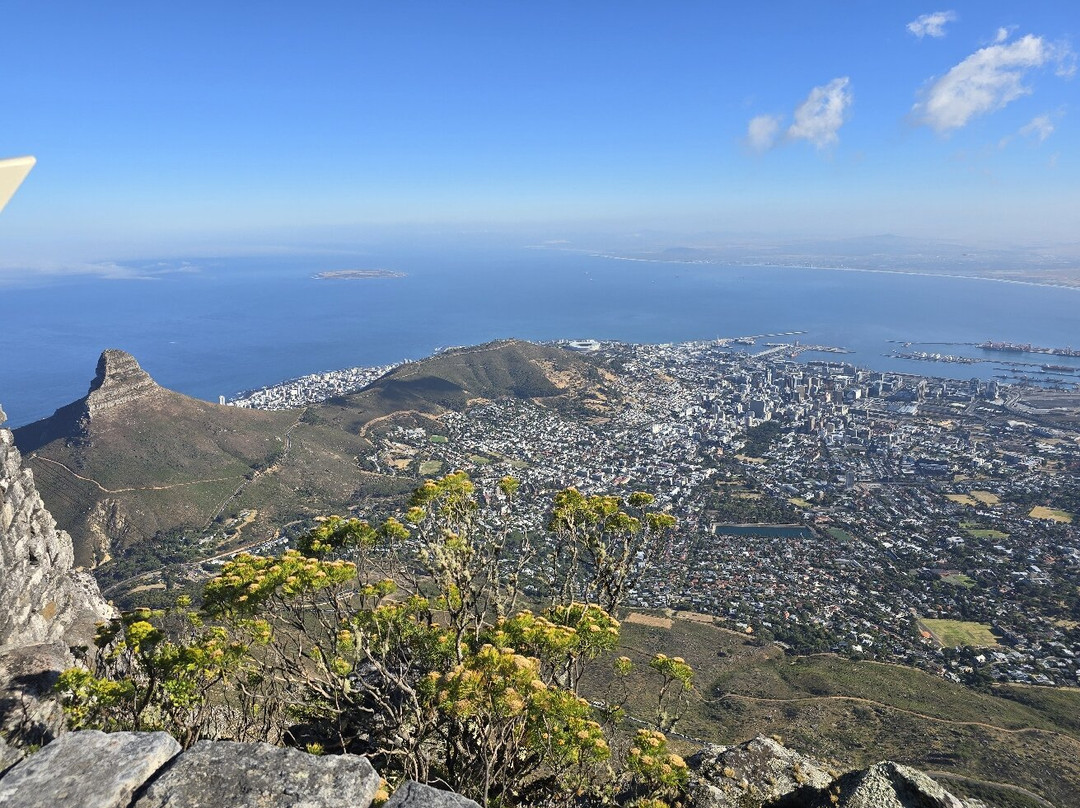 African Experience-Vredehoek必去景点