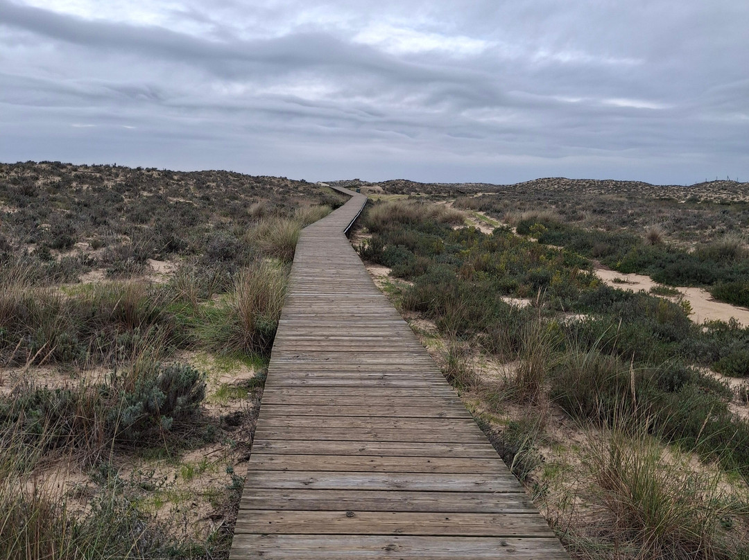 Ilha da Culatra-奥良必去景点