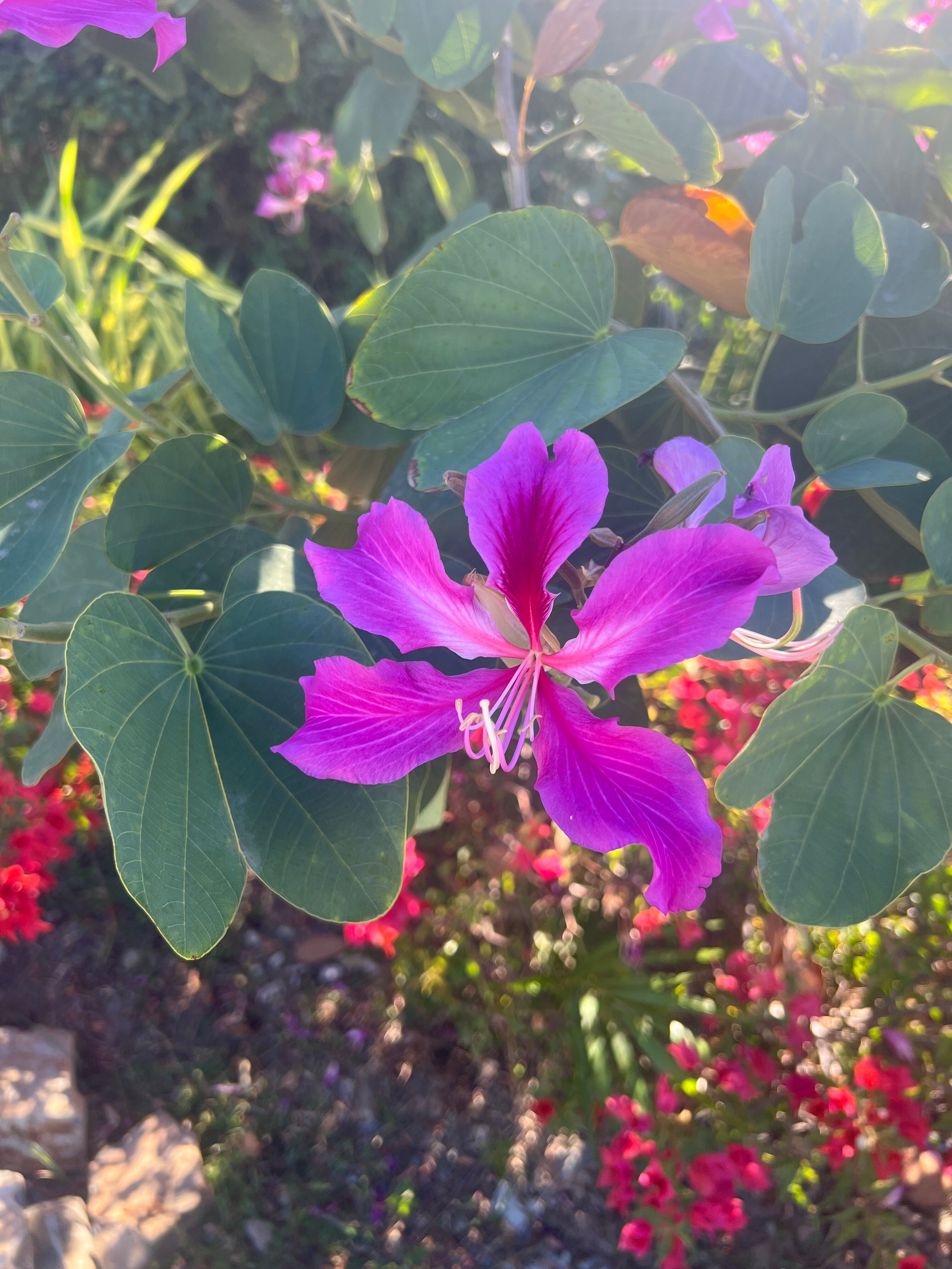 Lovango Resort & Beach Club-浴室