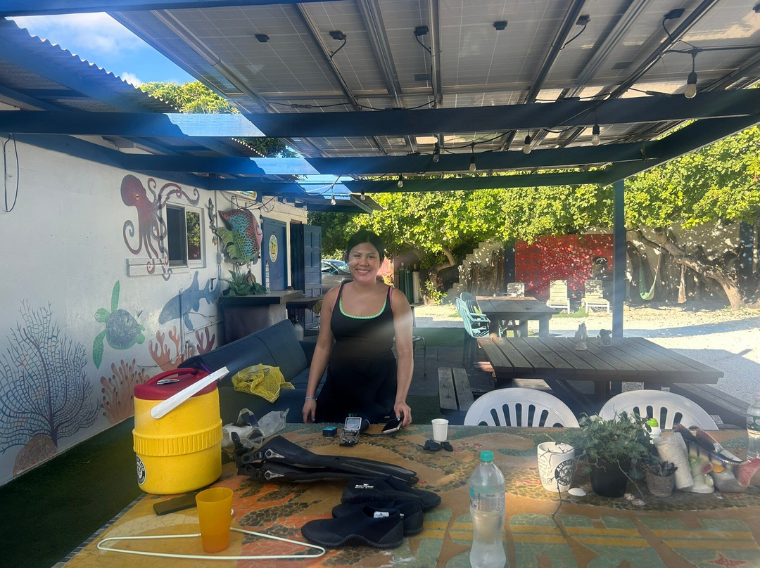 Aruba Bob Snorkel & Scuba-阿鲁巴岛必去景点