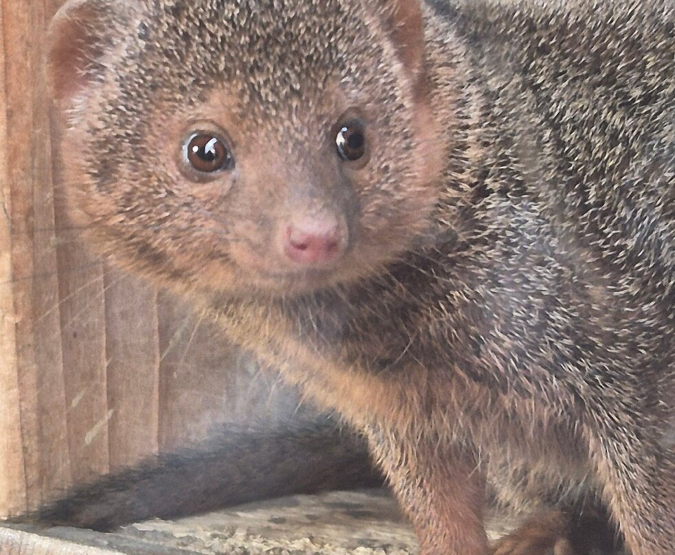 Fife Zoo-库珀必去景点