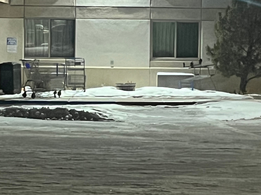 Super 8 by Wyndham Bemidji MN主图