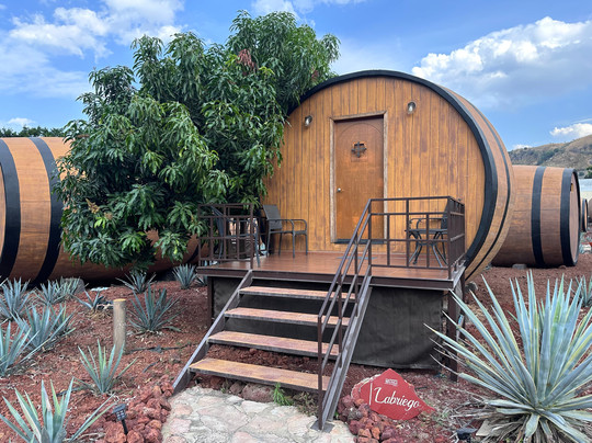 Huellas Mexicanas. Viajes y Experiencias Gastronomicas-墨西哥城必去景点