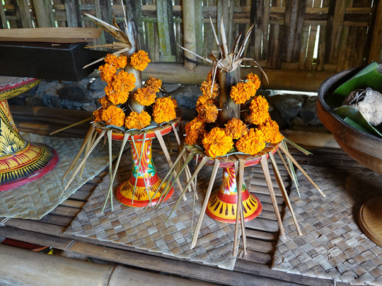 Samsara Living Museum-Jungutan必去景点