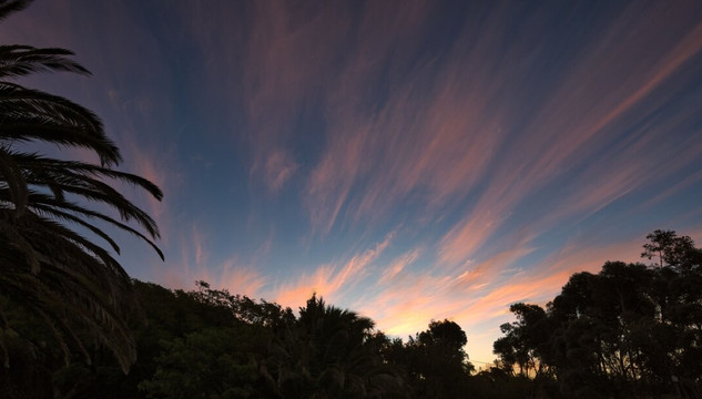 花海精品民宿主图