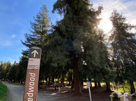 Carbon Canyon Nature Trail-Brea必去景点