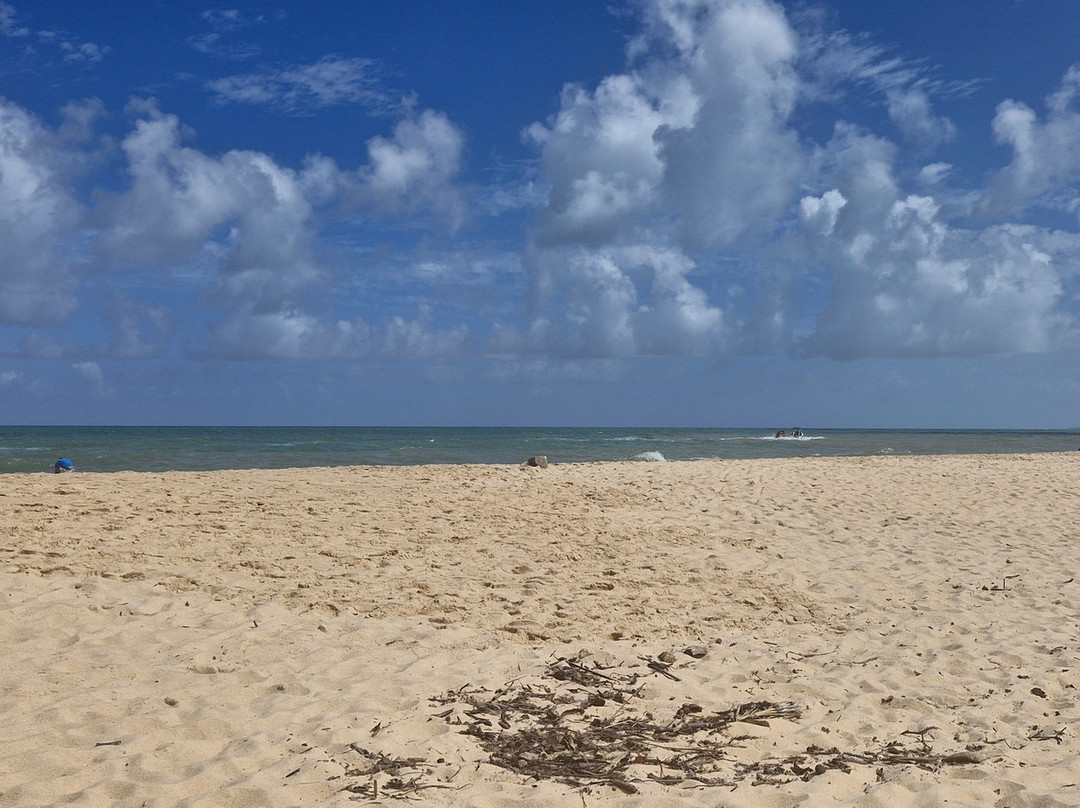 Pitinga Beach-Arraial d'Ajuda必去景点