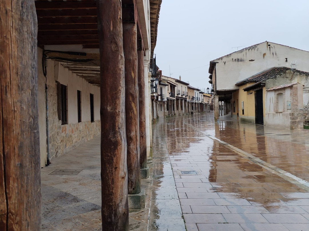 Colegiata de San Miguel-Ampudia必去景点