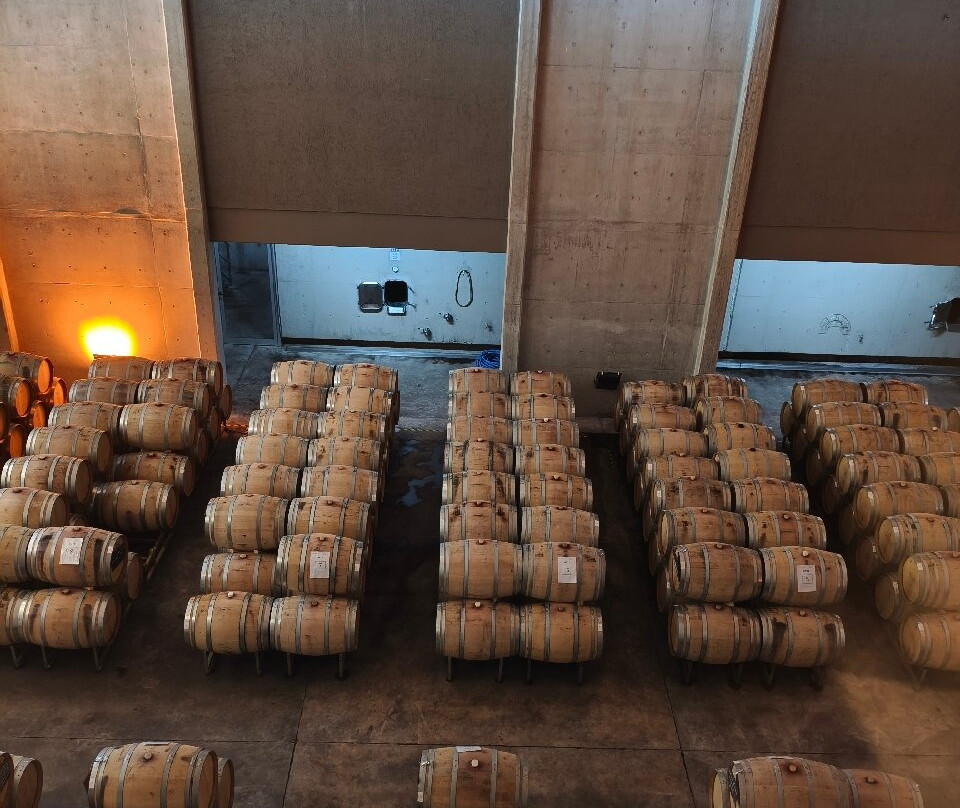 Bodega Budeguer-阿格雷洛必去景点