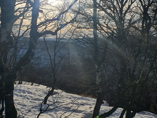 Hotel Restaurant Balveurche主图