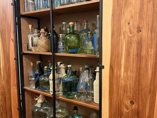 Devoured!-墨西哥城必去景点