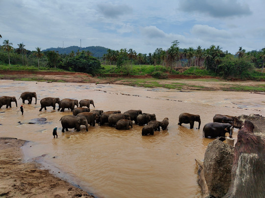 Sri Lanka Green Tours-Panadura必去景点