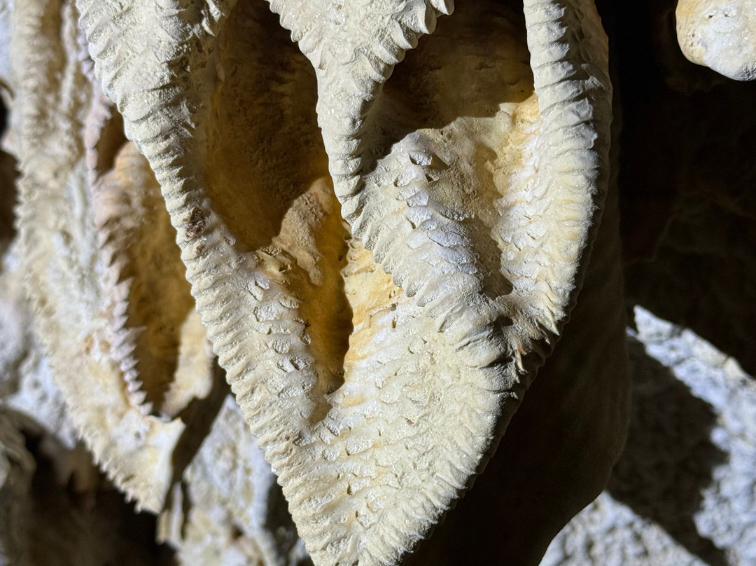 Cayman Crystal Caves-大开曼岛必去景点