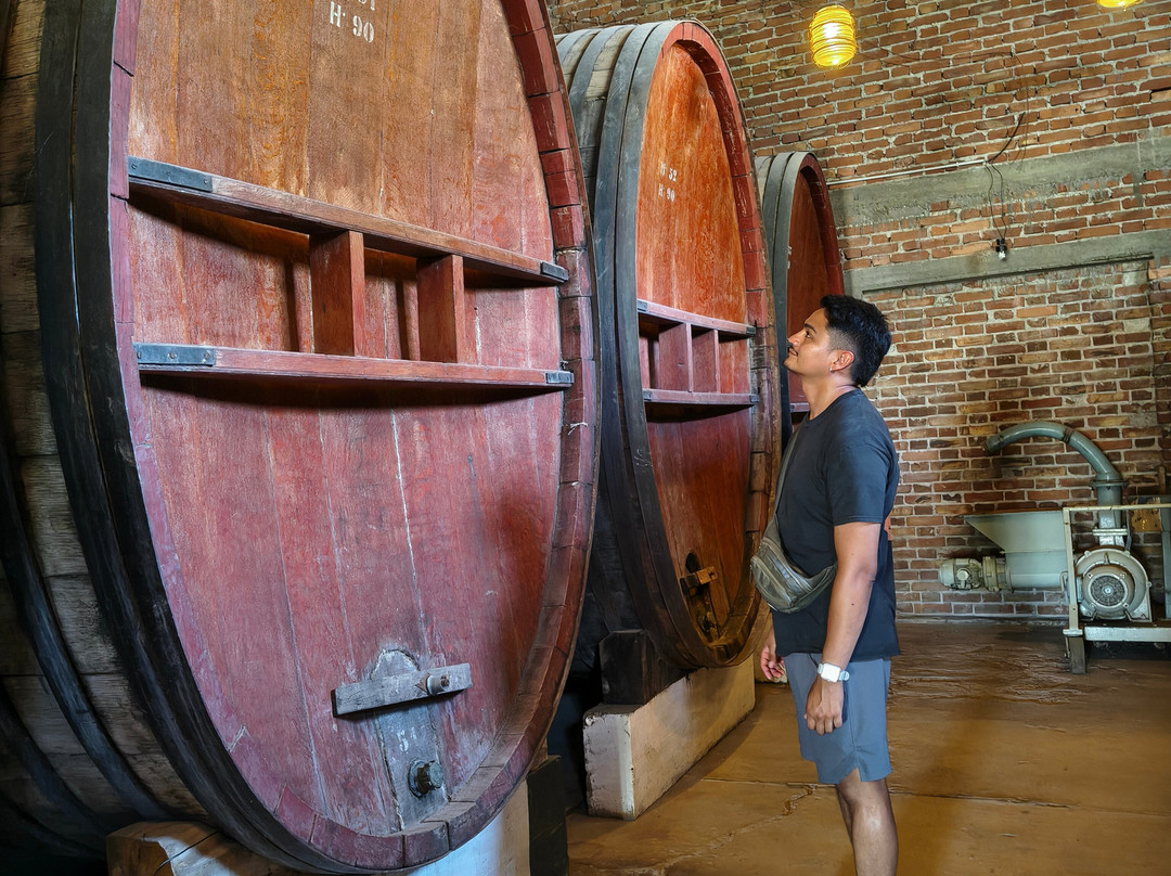 Bodega Terra Lombarda-圣拉斐尔必去景点